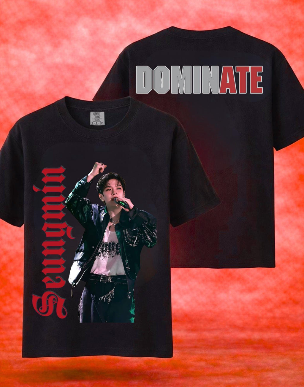 Stray Kids DOMINATE Concert Tee, Kpop Fan Merch Shirt