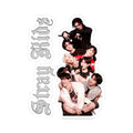 Stray kids sticker 8